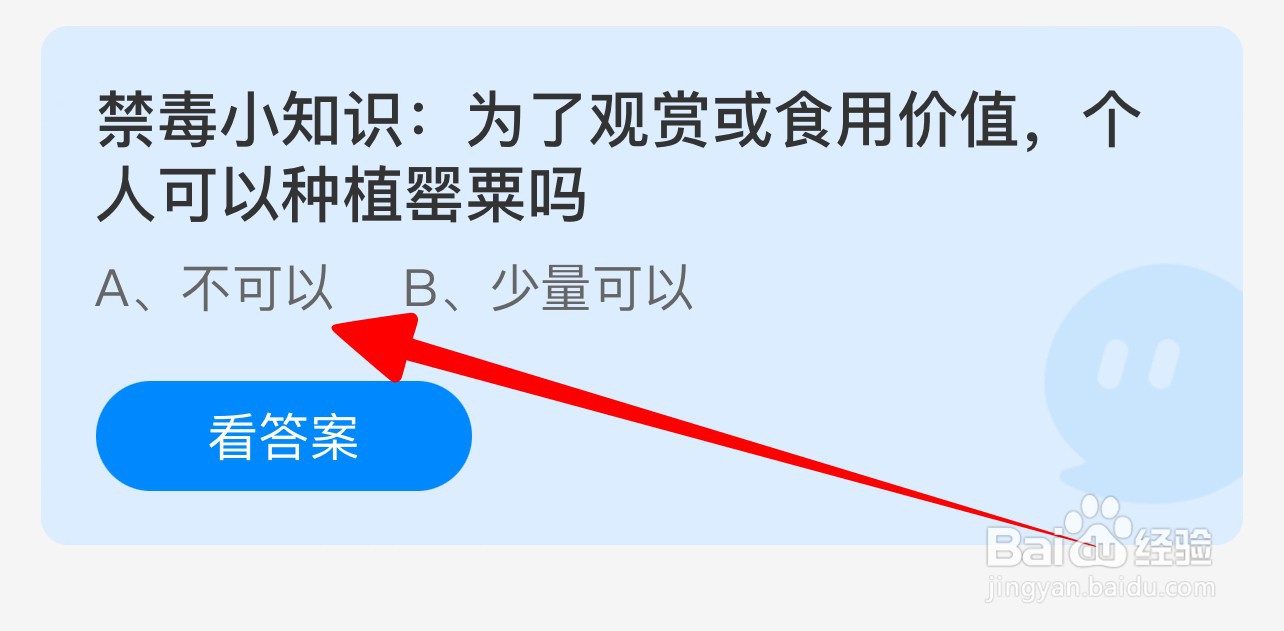 个人可以种植罂粟吗？蚂蚁庄园6.26答案