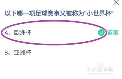 蚂蚁庄园2024年7月5日哪项足球比赛称为小世界杯