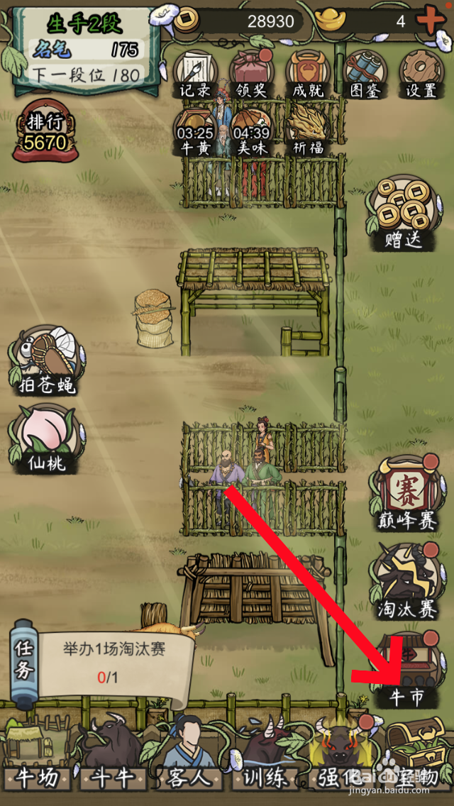 叫我养牛王如何购买一头害怕过年的长毛牛