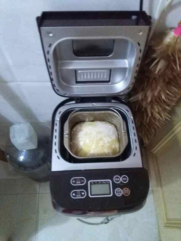 南瓜小餐包，解决了早餐吃什么的难题！