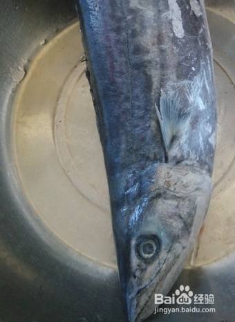 山东炖咸鲅鱼的做法