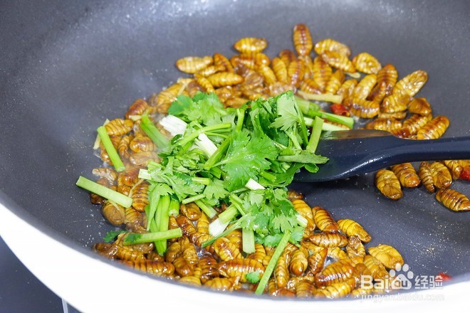 怎样做干煸小蚕蛹