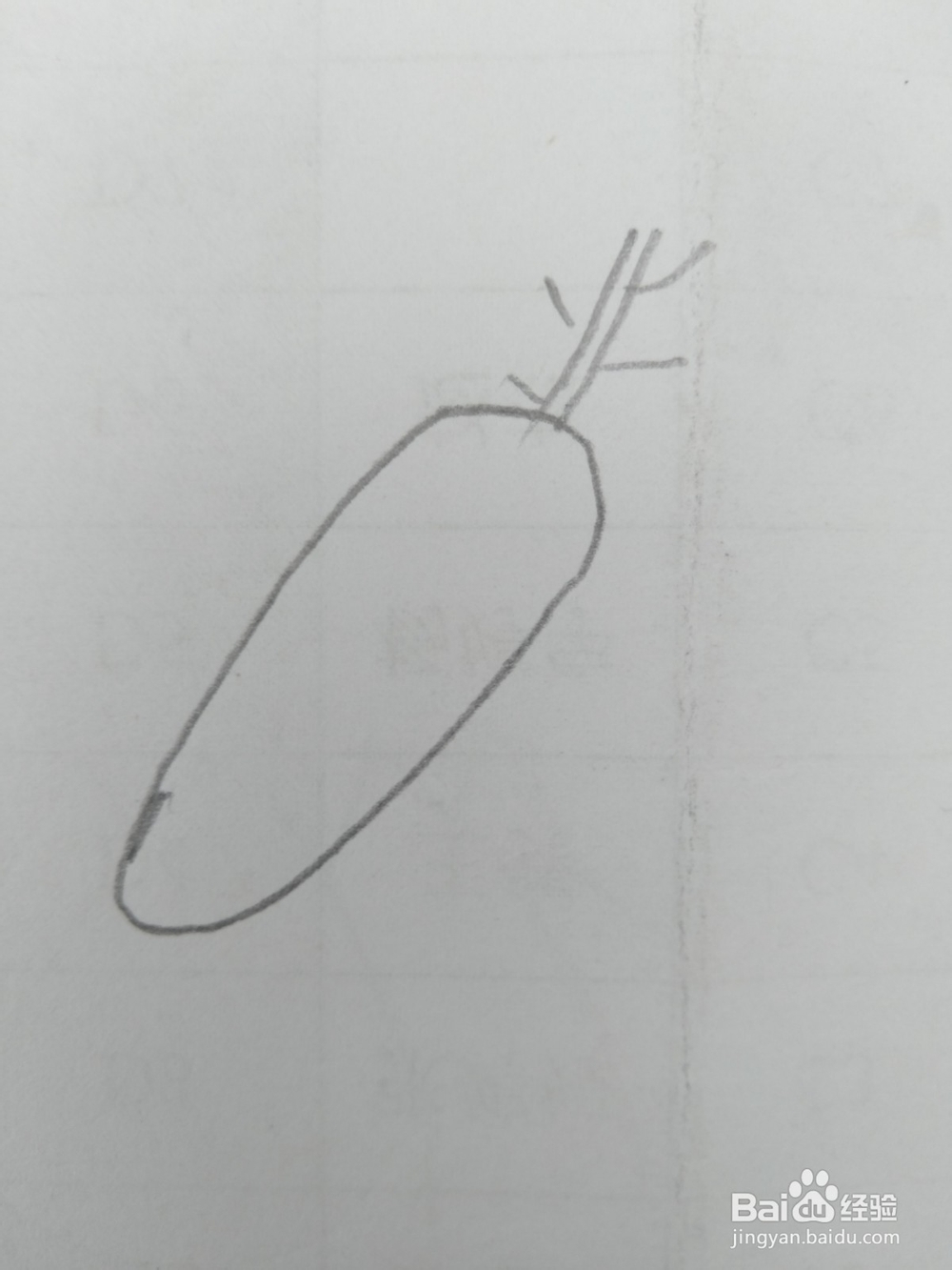 简笔画胡萝卜画法五