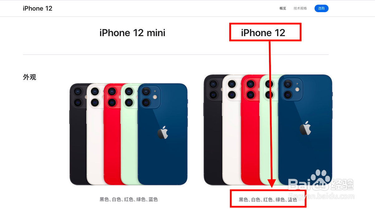 苹果iphone12都有啥颜色