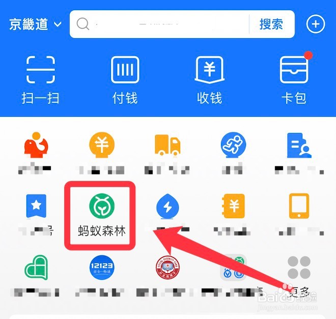 蚂蚁森林保护地动物派遣方法