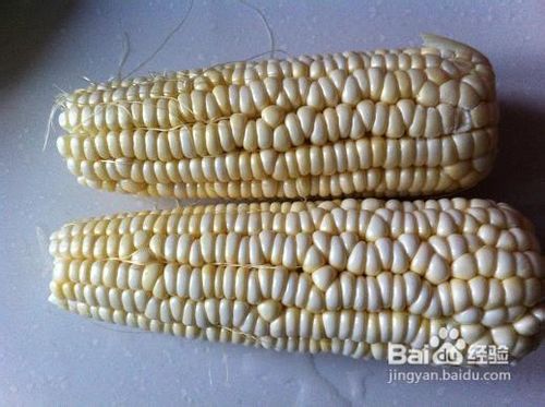 冬瓜玉米骨头汤