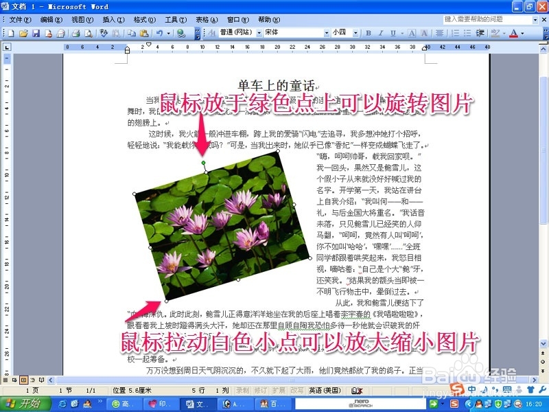 word操作教程：[1]插入图片的设置