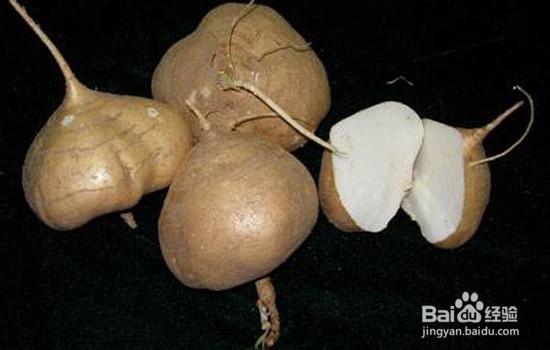 凉薯热量高吗 吃凉薯会胖吗