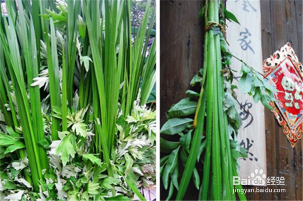 端午节有哪些传统习俗？