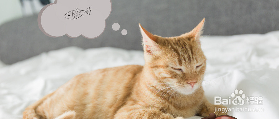 眼睛干涩疲劳怎么办？我来告诉你！