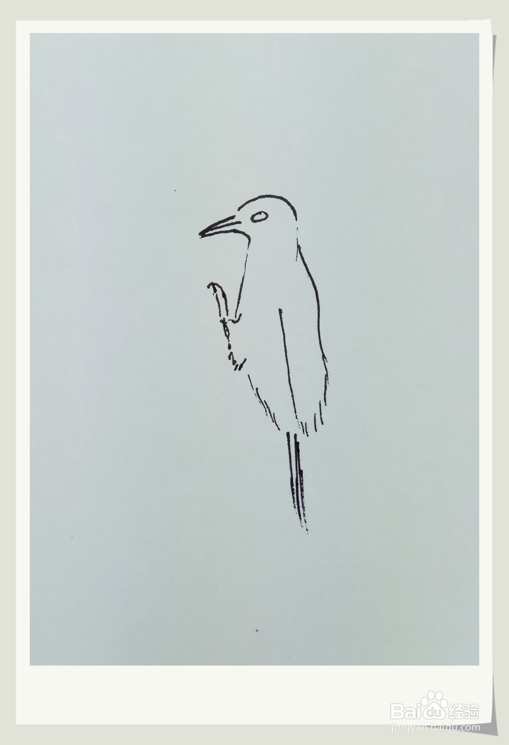 怎样画简笔画“啄木鸟”？