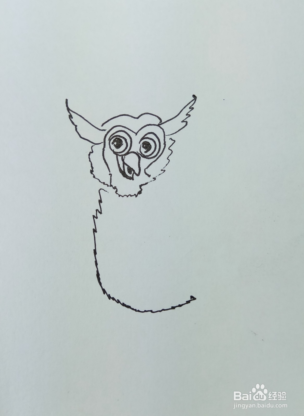 怎样画简笔画“老鼠最怕的猫头鹰”？