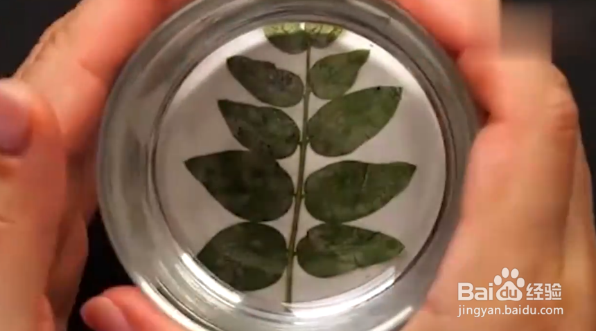 如何制作好看的手工