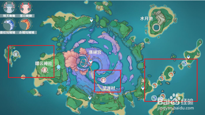 原神小动物分布位置大全