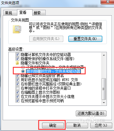 Windows如何显示隐藏文件