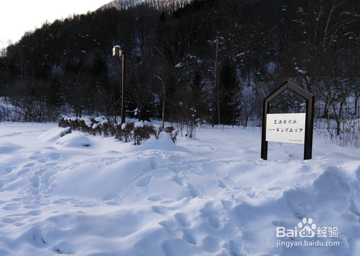 一条性价比爆棚的万元以下日本北海道观雪路线