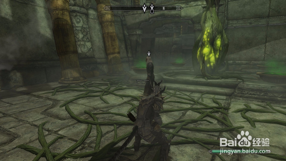 上古卷轴5唯一的治疗方式任务