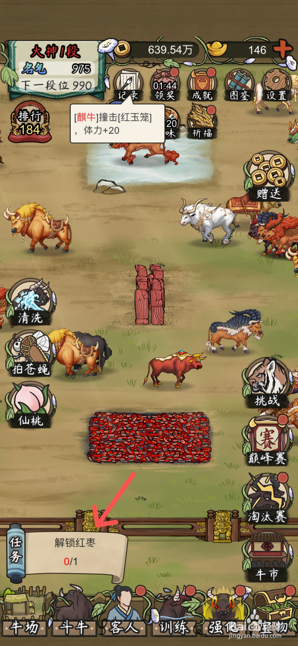 叫我养牛王如何给斗牛喂红枣草料