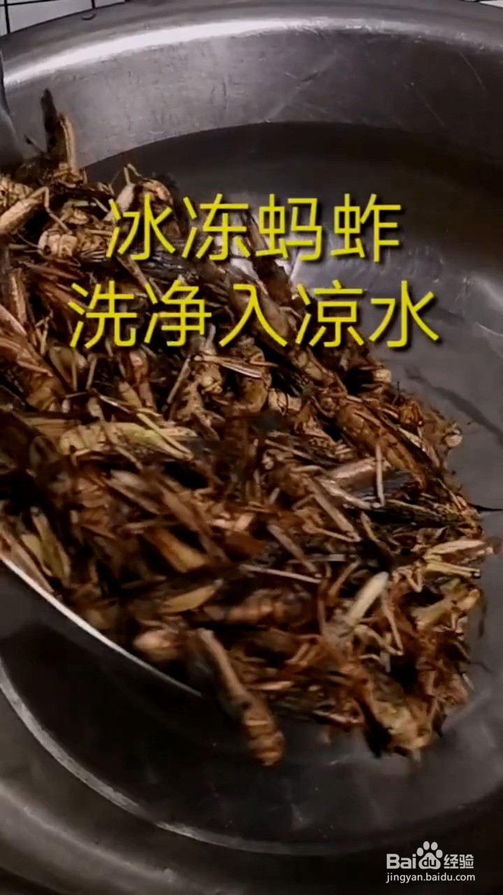 如何弄清炸蚂蚱香味十足