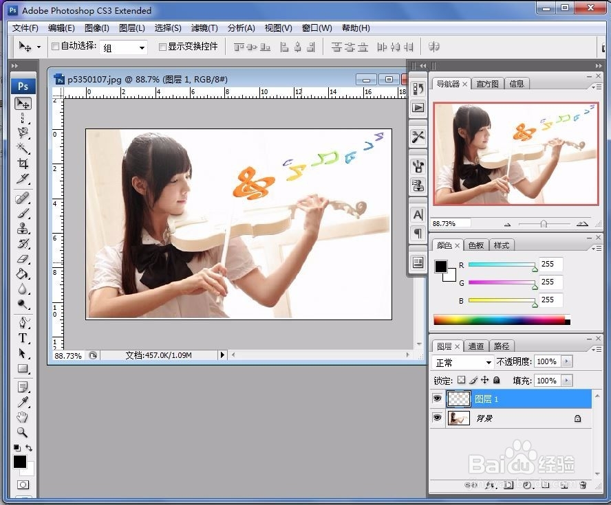 photoshop如何利用魔棒抠图?