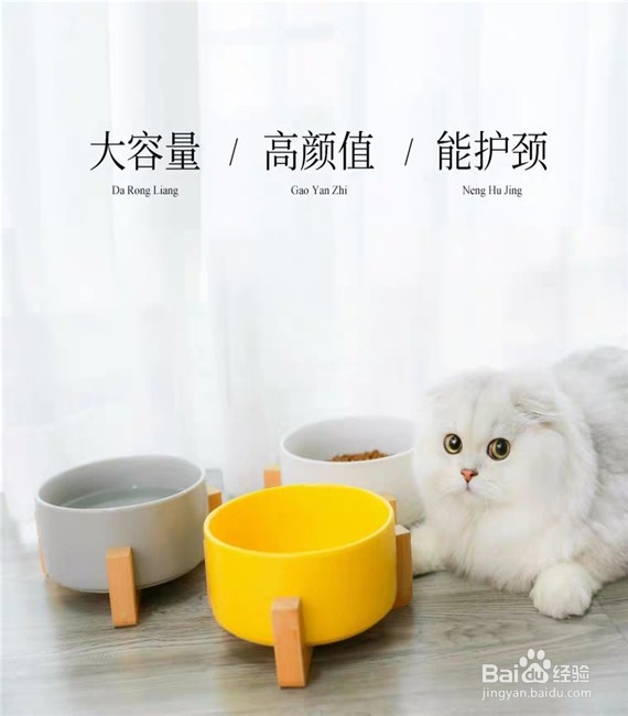 如何选购哑光陶瓷木架狗食盆