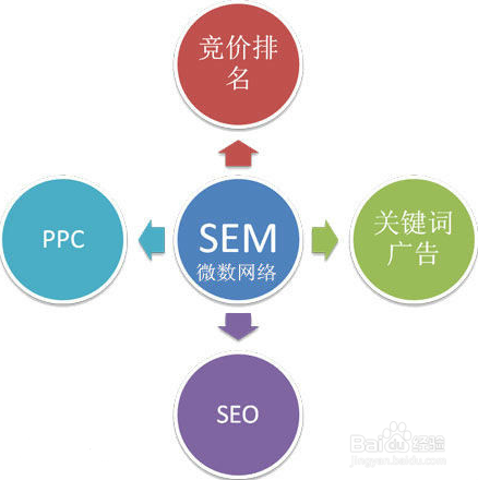嬴铮SEM分析账户