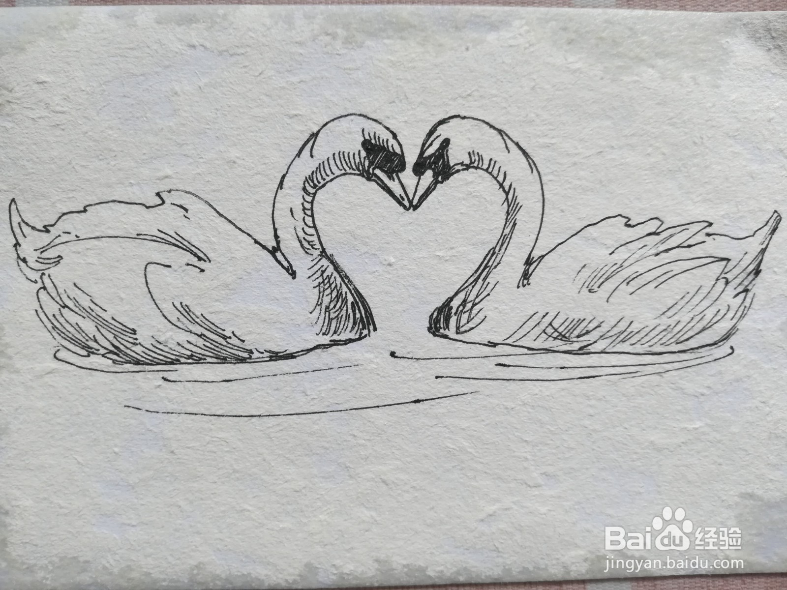 怎么画一对爱心形状的天鹅