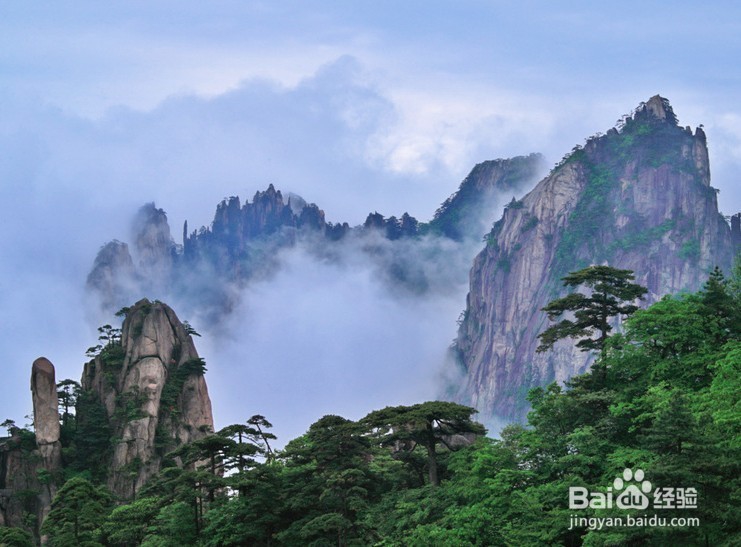 带上全家去旅行需要注意什么