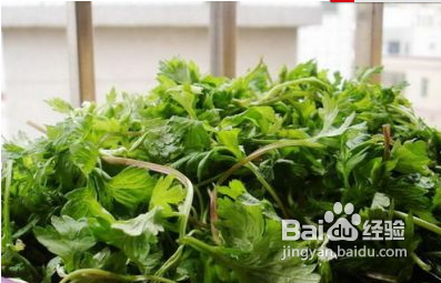 泡脚中药有那些