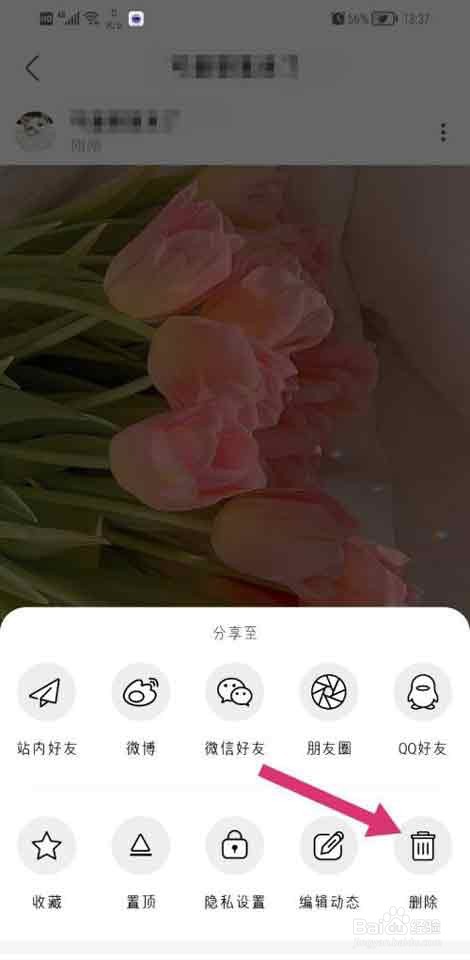 绿洲app如何删除发布动态?