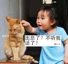 如何更好地与你的客户沟通