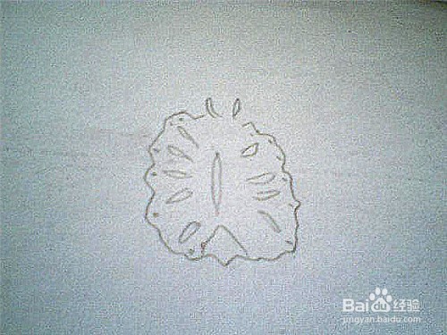 简笔画切开的菠萝这样画