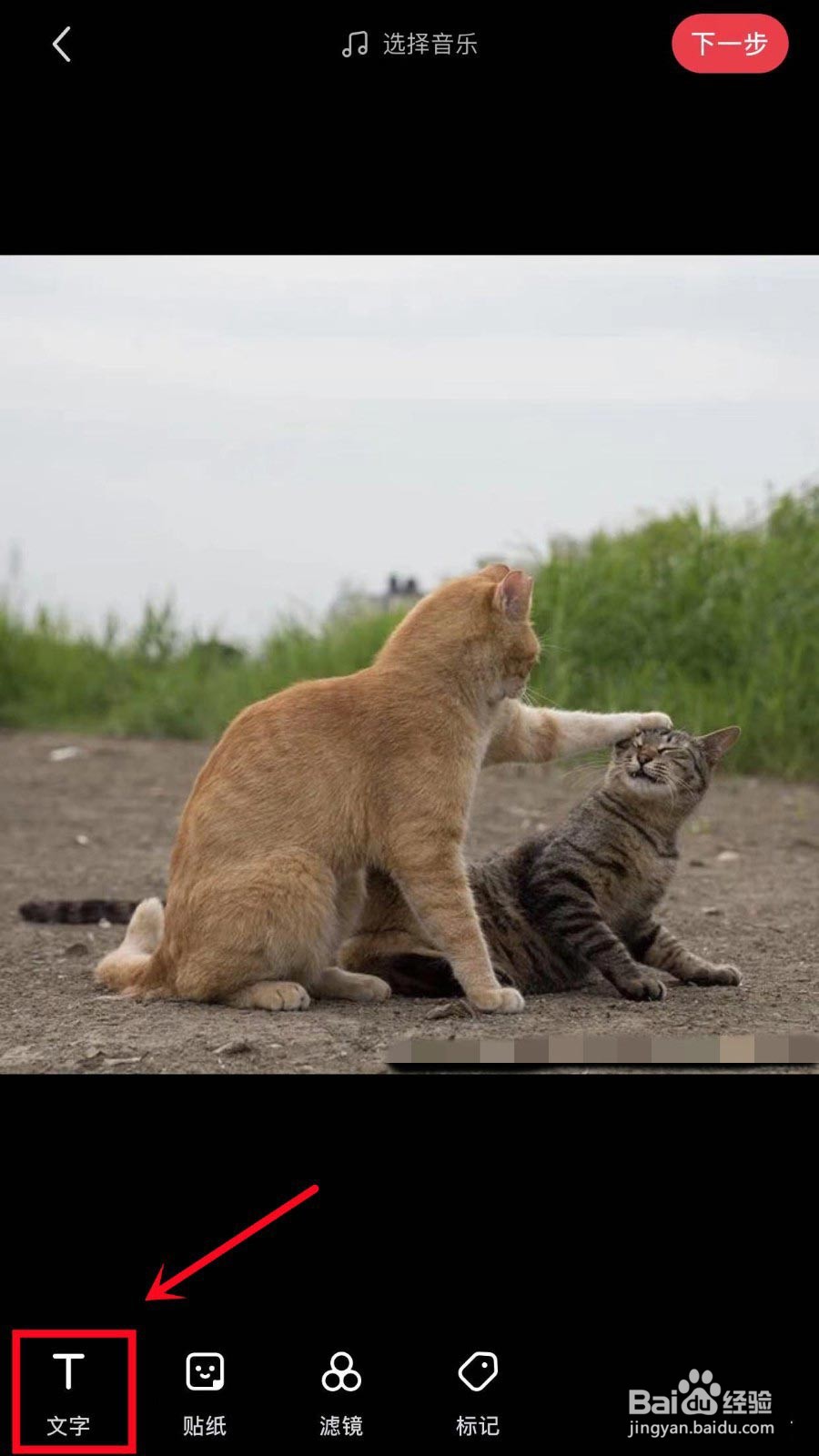 小红书图片怎么添加标签?