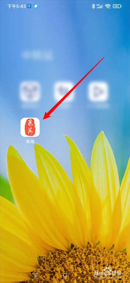 泉海app在哪查看我的图库