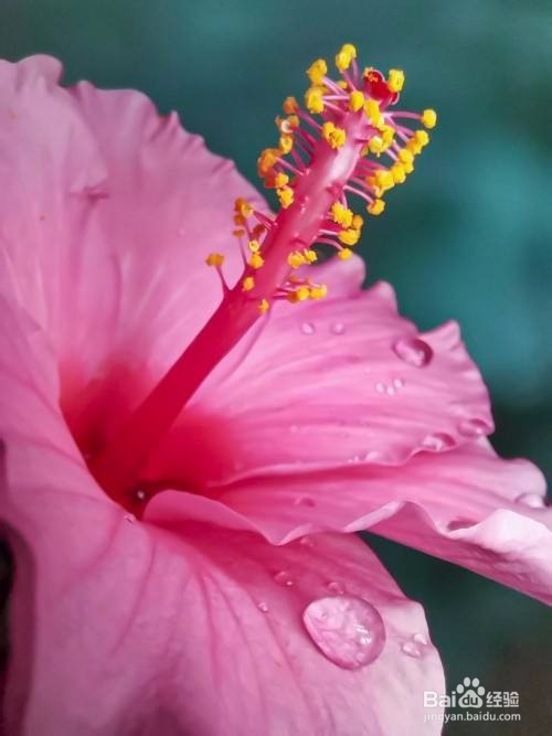 华为nove5pro怎么设置拍照光感