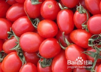 没有冰箱怎么保存水果—水果保鲜