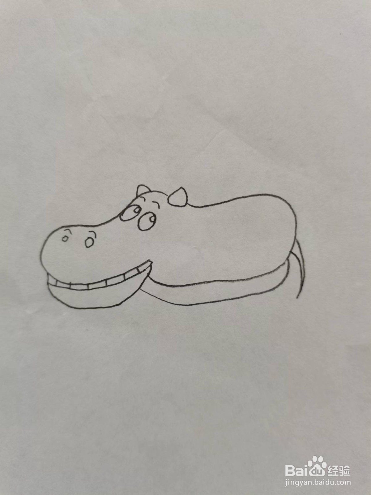 铅笔画卡通河马