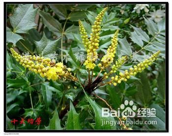 说说宫炎利湿方使用方法