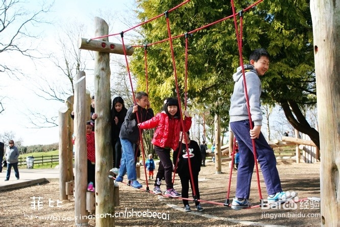 温哥华百万木头公园