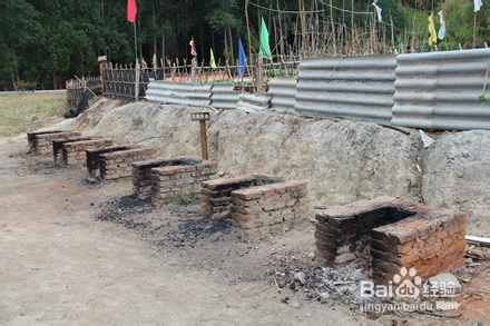 99%小朋友不知花生长地里还是挂树上，你信吗？