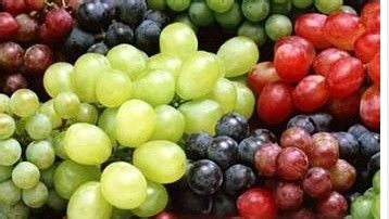 头发掉的厉害吃什么