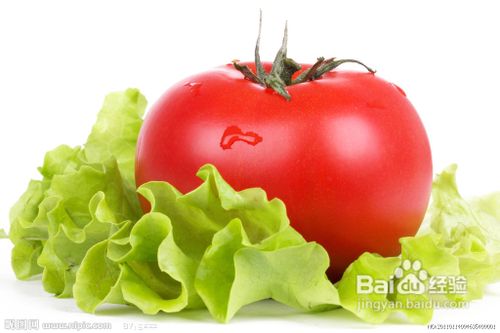 减肥瘦身食谱:减肥的蔬菜大盘点