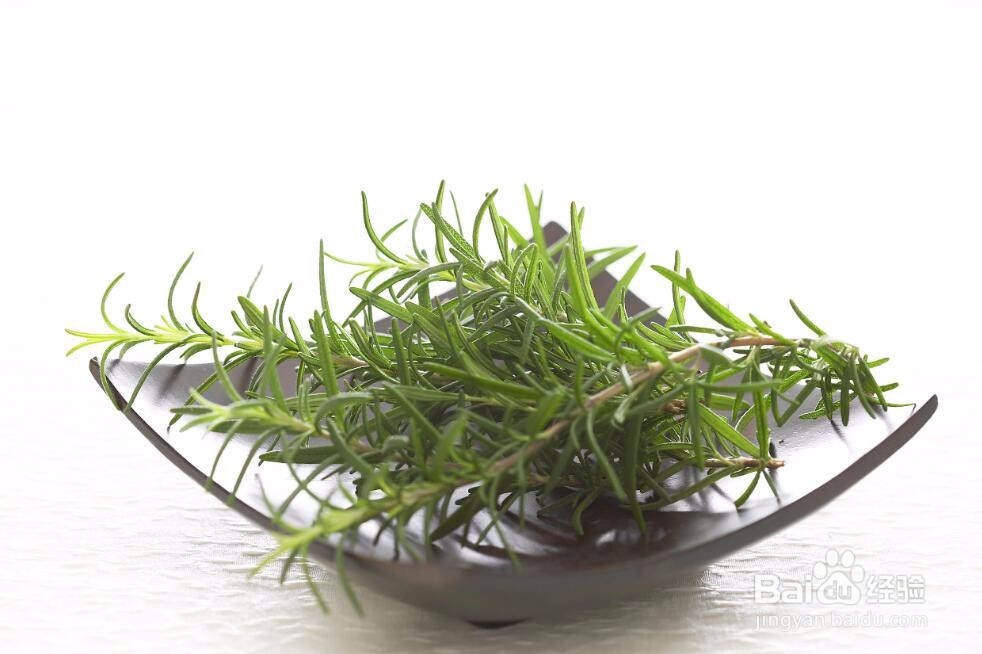 怎么用奥地利有机迷迭香洗头,来去油防掉发?