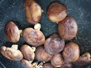 健康养生佳品自制香菇粉的做法