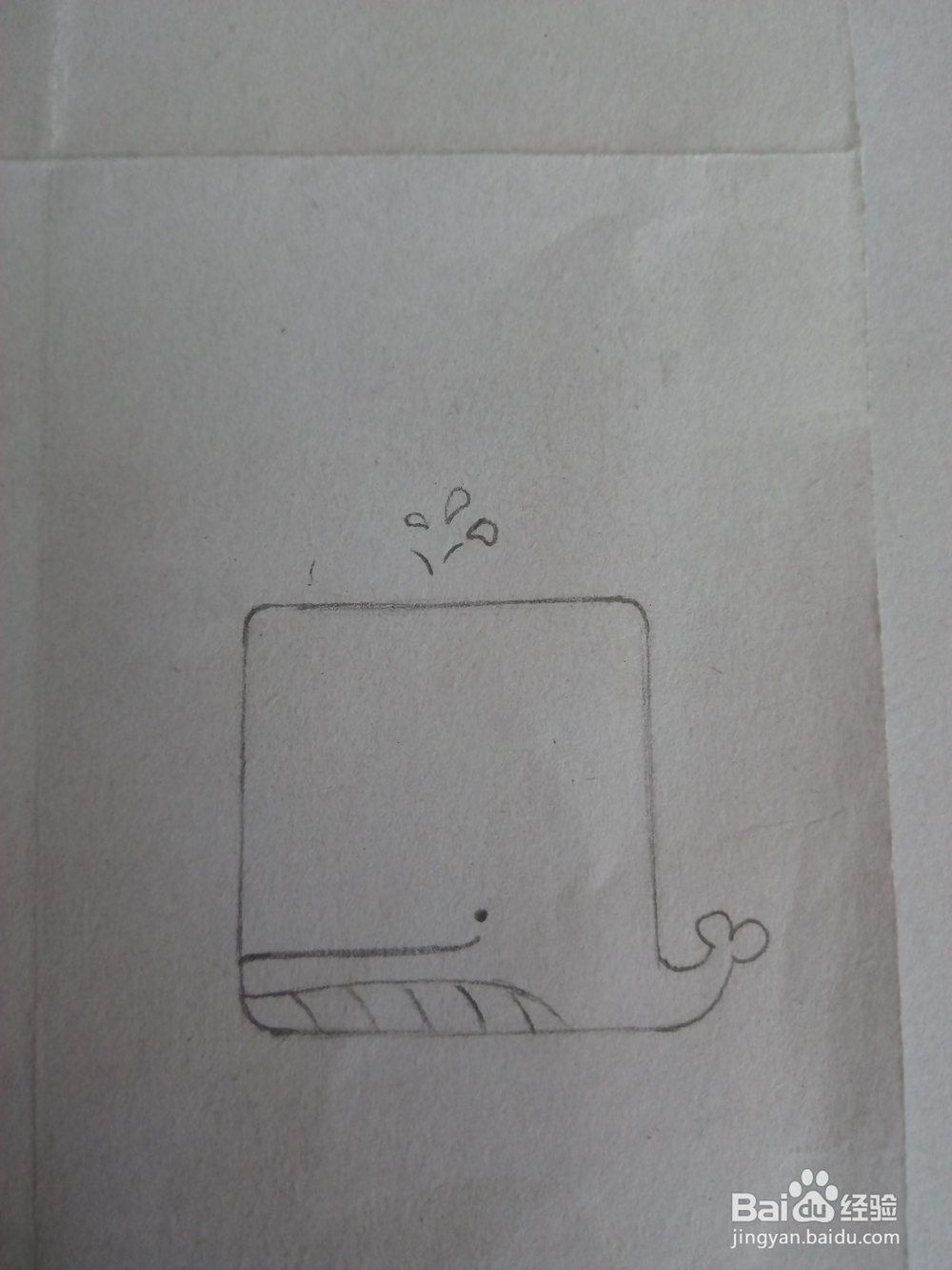 怎样画小鲸鱼简笔画？