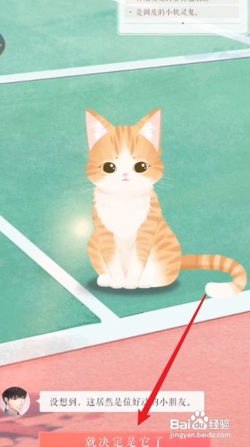 恋与制作人怎么领养宠物