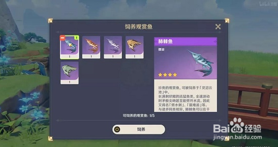 原神2.1钓鱼攻略