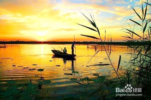 2013版白洋淀旅游攻略－防骗防宰旅游指南