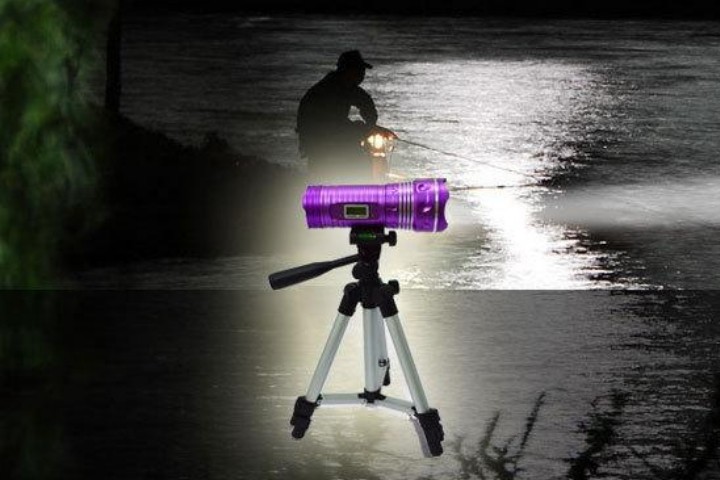 钓鱼用的各种用具分别是