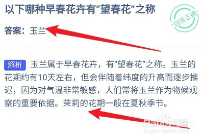 蚂蚁庄园答案哪种早春花卉有